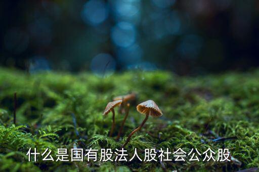 什么情況叫公眾持股，股份制上市企業(yè)誰能幫我解釋一下它是公企還是私企