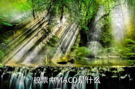 股市里MACD是什么意思，股票中MACD指標是什么意思