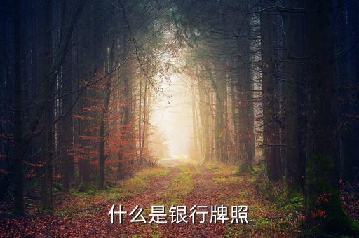 銀行牌照是什么，什么是銀行牌照