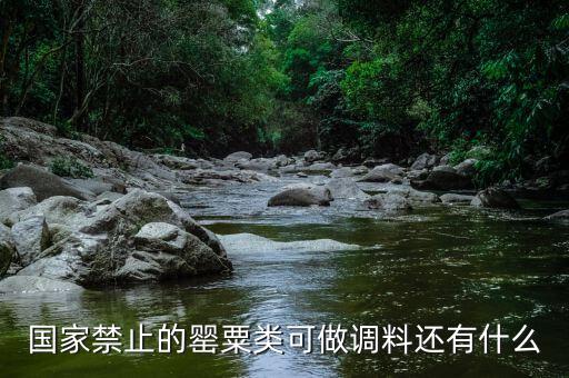 國家違禁香料有什么，國家禁止的罌粟類可做調(diào)料還有什么