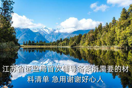 輔導(dǎo)備案登記受理是什么階段，我想問(wèn)一下辦一般納稅人申請(qǐng)后我們的輔導(dǎo)期是當(dāng)月 15小