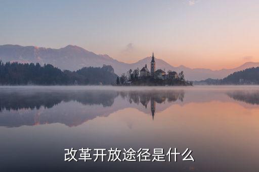 什么是改革路徑，深化我國政府機(jī)構(gòu)改革的具體途徑有哪些