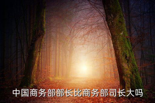 商務(wù)部部長什么級別，商務(wù)部部長多大的官