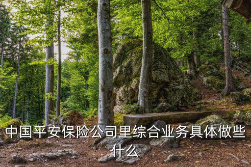 中國平安做什么的，中國平安是干什么的