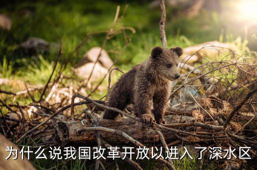 為什么說我國(guó)改革開放以進(jìn)入了深水區(qū)