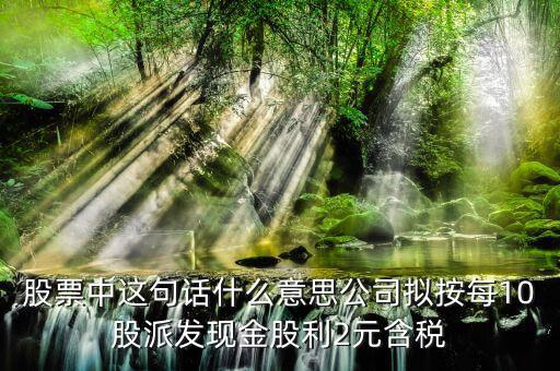 股票中這句話(huà)什么意思公司擬按每10股派發(fā)現(xiàn)金股利2元含稅