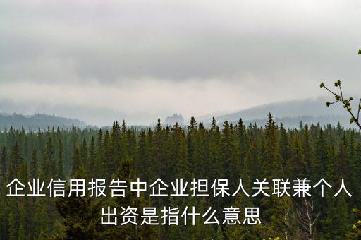 擔(dān)保人關(guān)聯(lián)是什么意思，企業(yè)征信中 擔(dān)保人關(guān)聯(lián)是什么意思