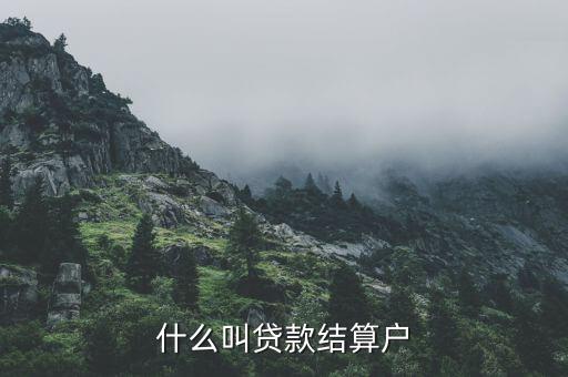 什么是有貸戶，什么叫居民戶貸款