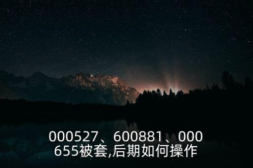 000527、600881、000655被套,后期如何操作