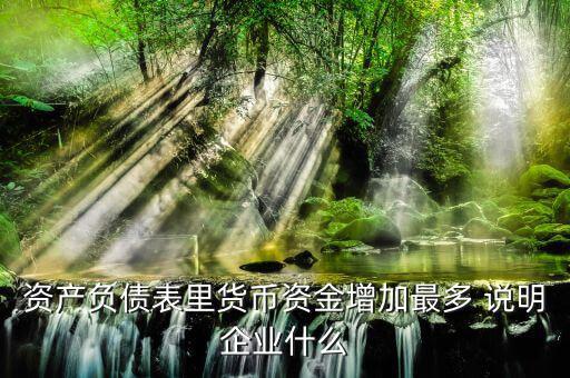貨幣資金增加說(shuō)明什么，資產(chǎn)負(fù)債表里貨幣資金增加最多 說(shuō)明企業(yè)什么