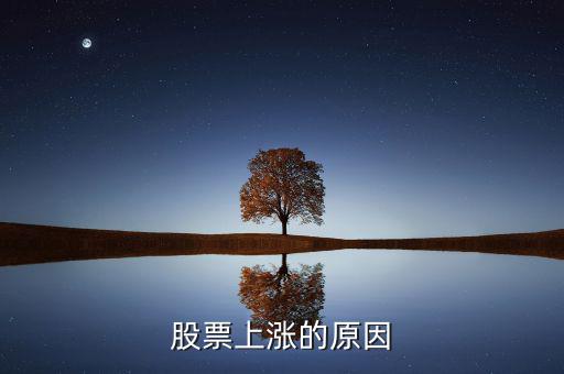 中國股市為什么會上漲，股票最近為什么會突然上漲說的通俗易懂點(diǎn)對股票一無所知怎么