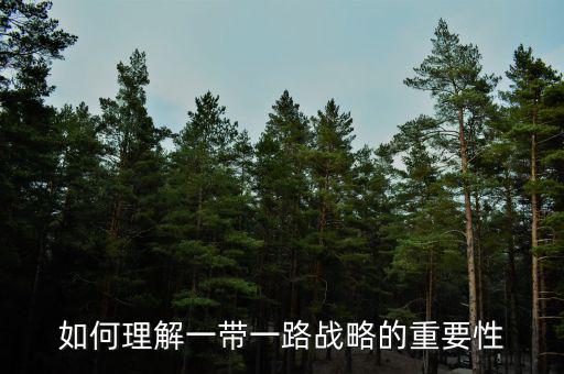 中國為什么要搞一帶一路，當(dāng)代國際社會(huì)的知識(shí)分析我國為什么要提出一帶一路的倡