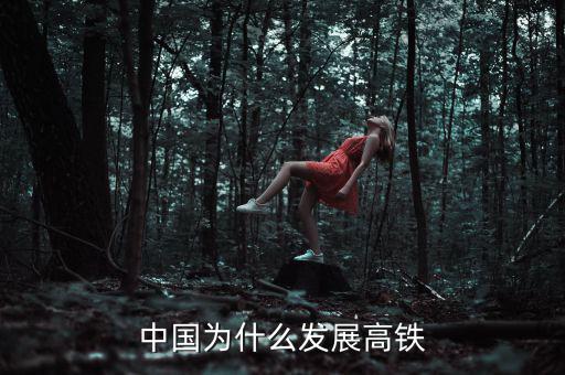 中國為什么大力發(fā)展高鐵，中國為什么發(fā)展高鐵