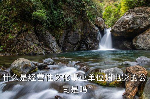 什么是經(jīng)營性事業(yè)單位，哪些屬于經(jīng)營性文化事業(yè)單位