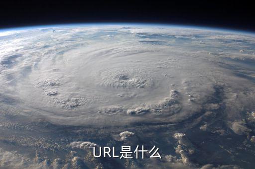 久其費(fèi)控url是什么，URL是什么意思