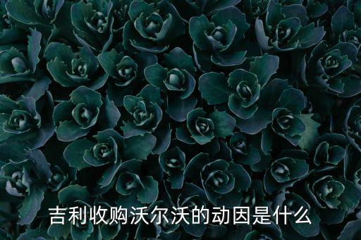 吉利收購(gòu)沃爾沃的動(dòng)因是什么