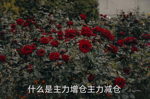 主力增減倉什么意思，什么是主力增倉主力減倉