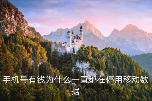 鏈動數(shù)據(jù)為什么有錢，廣東鏈動為什么那么多人認同和喜歡