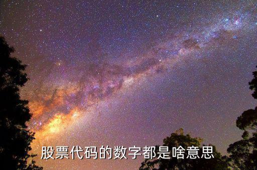 股票代碼的數字都是啥意思