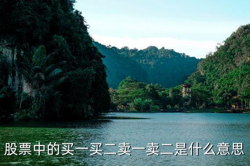 股票買(mǎi)一買(mǎi)二什么意思，股票中的買(mǎi)一買(mǎi)二賣(mài)一賣(mài)二是什么意思