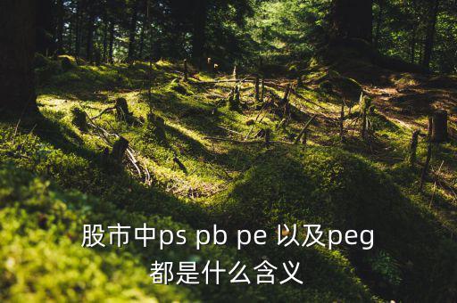 股市peg是什么意思，請問在股市里的PEG是什么意思和股價的關(guān)系怎樣多謝