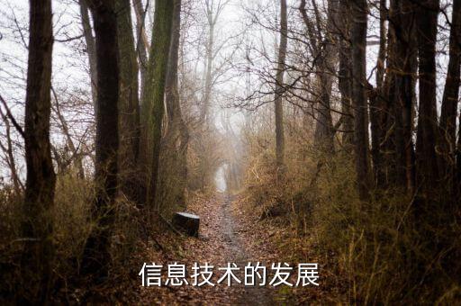 信息發(fā)展是什么板塊，中國軟件 屬于什么板塊