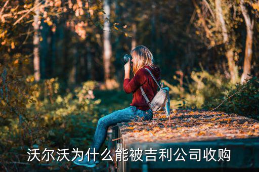 吉利為什么收購(gòu)沃爾沃，吉利收購(gòu)沃爾沃的動(dòng)因是什么