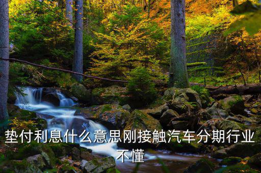 墊付利息是什么意思，紅利保險(xiǎn)會(huì)自動(dòng)墊付期間會(huì)出利息