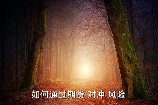 散戶怎么對沖風(fēng)險(xiǎn),期貨套期保值功能是針對現(xiàn)貨企業(yè)的