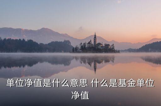 單位凈值什么意思，單位凈值是什么意思