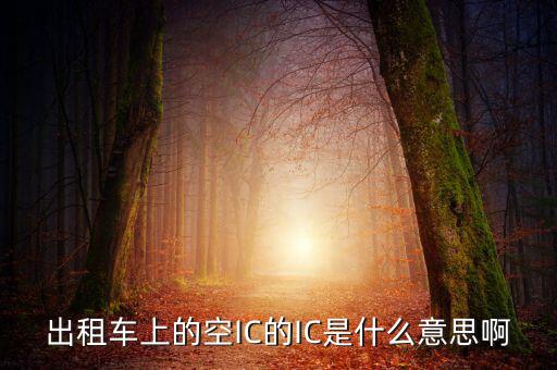 什么是ic空白卡，IC卡是什么