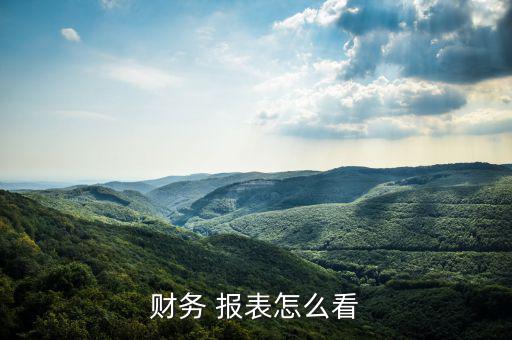 財務(wù) 報表怎么看