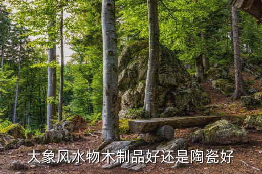 為什么大象屬金，生肖屬象所屬五行何謂