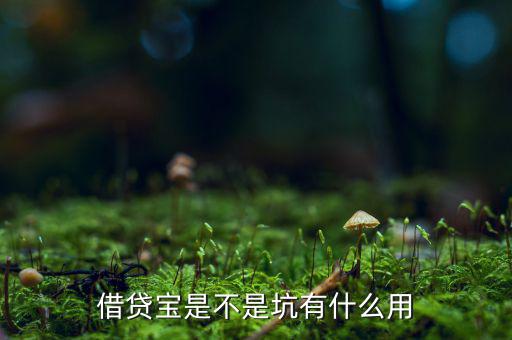 借貸寶賺利差什么意思，借貸寶賺利差是什么意思