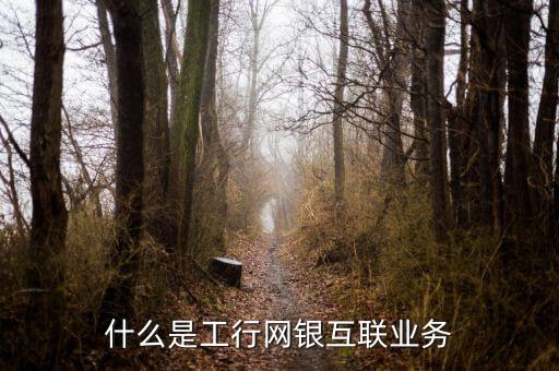 什么是工行網(wǎng)銀互聯(lián)業(yè)務