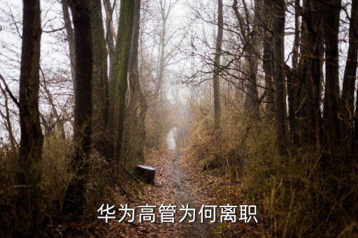 范家輝為什么離職，美國駐華大使家輝為什么宣布將辭職為什么來的如此的突然