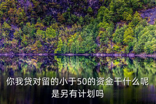 你我貸為什么我要投2萬(wàn)才能減50，你我貸對(duì)留的小于50的資金干什么呢是另有計(jì)劃嗎