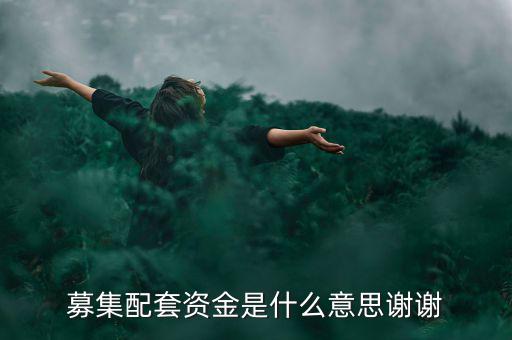 配股募資是什么意思，配股是什么意思啊