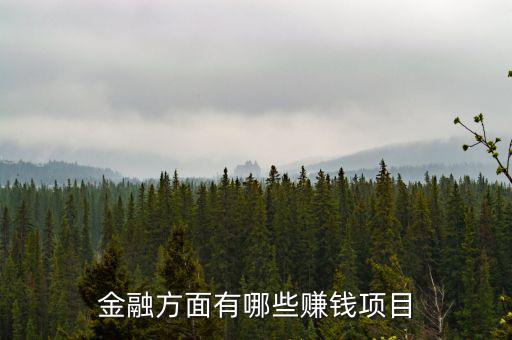 金融里什么賺錢(qián)，金融方面有哪些賺錢(qián)項(xiàng)目