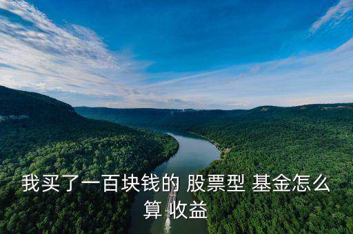 我買了一百塊錢(qián)的 股票型 基金怎么算 收益