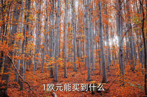 一歐元能買什么，1歐元在倫敦可以買到什么