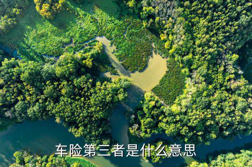 車險第三者什么意思，車險第三者是什么意思