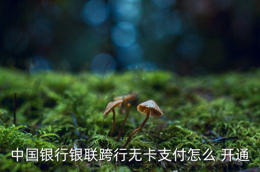 中國銀行銀聯跨行無卡支付怎么 開通