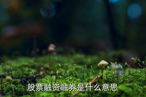 什么是融資融券業(yè)務(wù)，融資融券業(yè)務(wù)是指證券公司向客戶出借資金供其買入證券或者出借