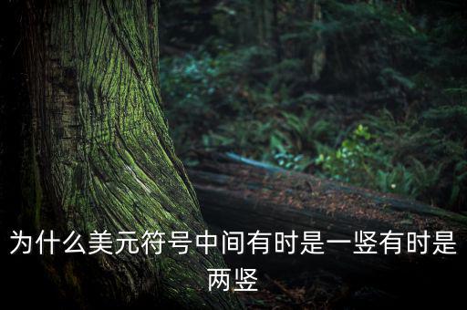 比美元符號多一豎是什么，一個很像美元的符號 但是那一豎是不貫穿S的 也就是S上面有一小豎