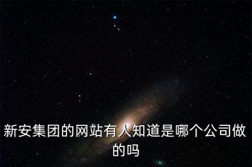 新安股份做什么的，新安集團的網(wǎng)站有人知道是哪個公司做的嗎