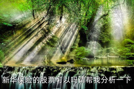 新華保險(xiǎn)為什么股票漲這么多，新華保險(xiǎn)的股票可以嗎請(qǐng)幫我分析一下