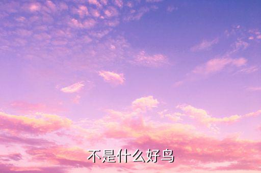 孟兵不是什么好鳥，不是什么好鳥