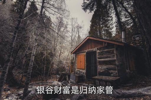 國(guó)家對(duì)銀谷財(cái)富是什么整策，銀谷財(cái)富是歸納家管