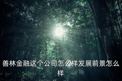 善林公司經(jīng)營什么，善林金融這個公司怎么樣發(fā)展前景怎么樣